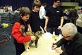 Dumny Kot*PL, Norwegian Forest Cat and Russian Blue cattery