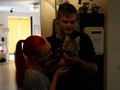 Dumny Kot*PL, Norwegian Forest Cat and Russian Blue cattery