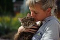 Dumny Kot*PL, Norwegian Forest Cat and Russian Blue cattery