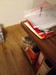 Dumny Kot*PL, Norwegian Forest Cat and Russian Blue cattery