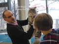 Dumny Kot*PL, Norwegian Forest Cat and Russian Blue cattery