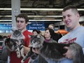 Dumny Kot*PL, Norwegian Forest Cat and Russian Blue cattery