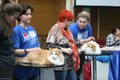 Dumny Kot*PL, Norwegian Forest Cat and Russian Blue cattery