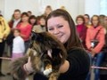 Dumny Kot*PL, Norwegian Forest Cat and Russian Blue cattery