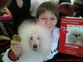 Matthias-Andrew-Sahra FCI, Miniature Poodles and Toy Poodles kennel