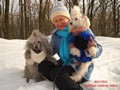 Matthias-Andrew-Sahra FCI, Miniature Poodles and Toy Poodles kennel