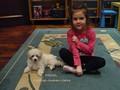 Matthias-Andrew-Sahra FCI, Miniature Poodles and Toy Poodles kennel