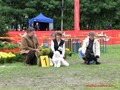 Matthias-Andrew-Sahra FCI, Miniature Poodles and Toy Poodles kennel