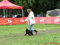 Matthias-Andrew-Sahra FCI, Miniature Poodles and Toy Poodles kennel